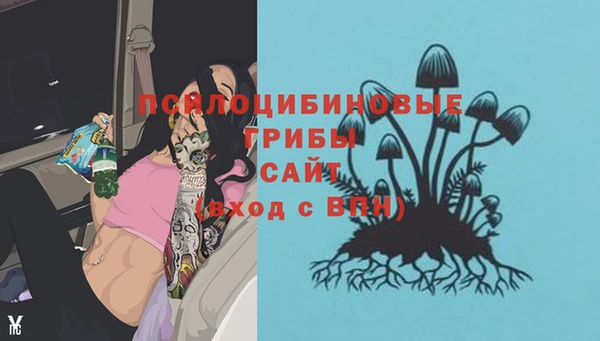 spice Алексеевка