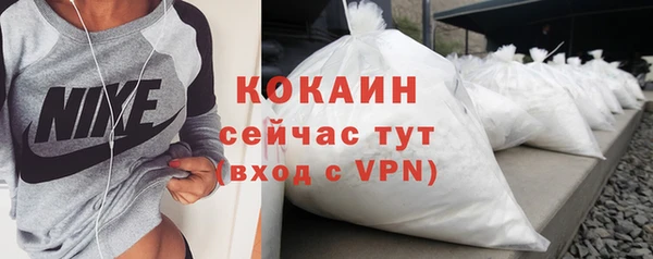 шишки Кизел