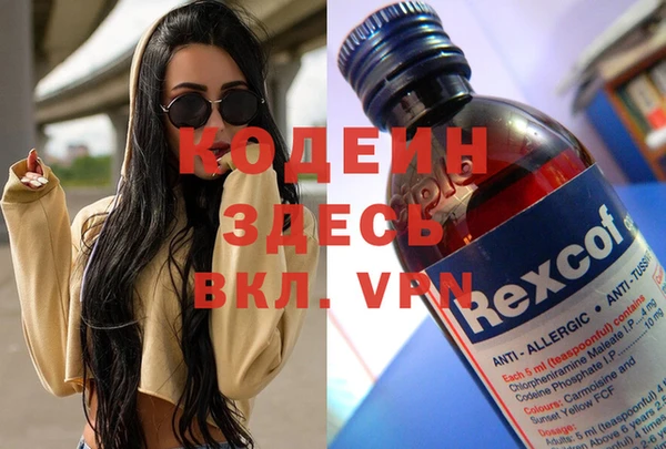 PSILOCYBIN Алзамай