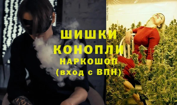 PSILOCYBIN Алзамай