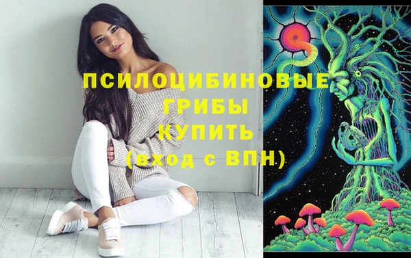 стаф Алексин