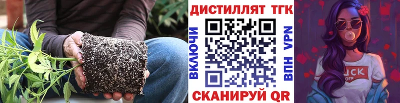 хочу наркоту  Шадринск  Дистиллят ТГК жижа 