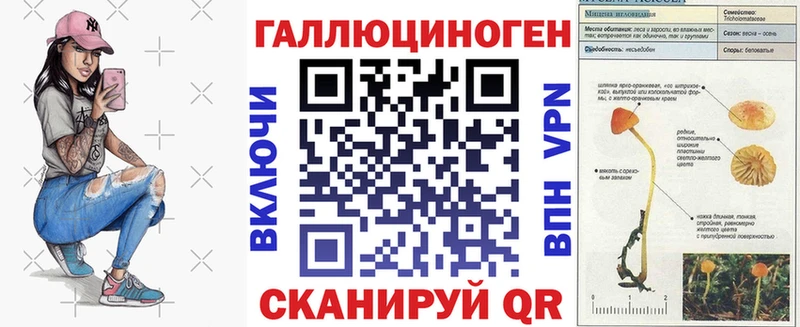 Псилоцибиновые грибы Psilocybine cubensis  магазин продажи   Шадринск 