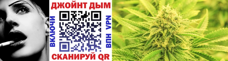 Конопля сатива  купить наркотики цена  Шадринск 